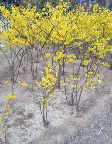 �ӿڹ������ɽ���ƺӻ��ȡ�����塢�ӻ���2����