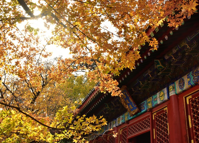 ������ɽ+���Ƕ�����