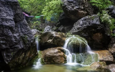 ��̨ɽ���䴿�������