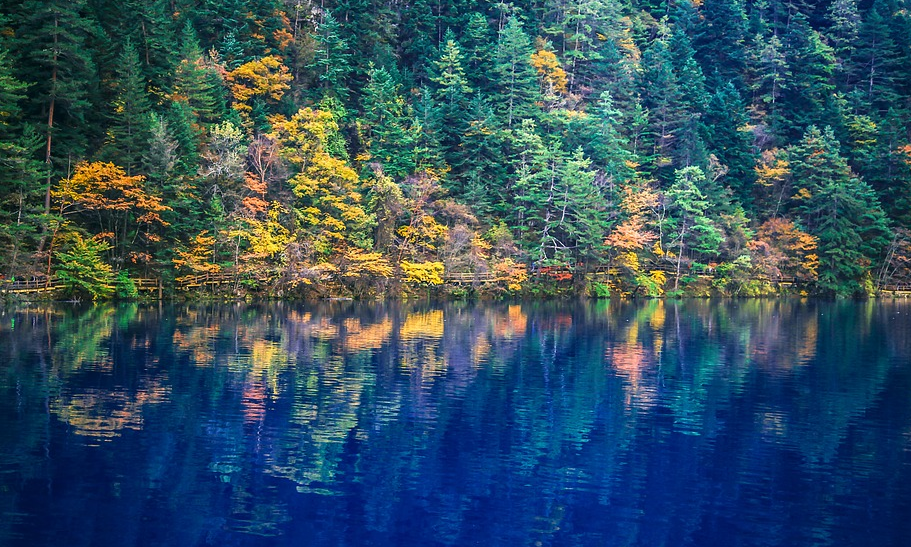 ������ʢ�硿�ɶ�-��������è��԰-��կ��-����-��ɽ���-��üɽ-������-���ɽ˫��8����