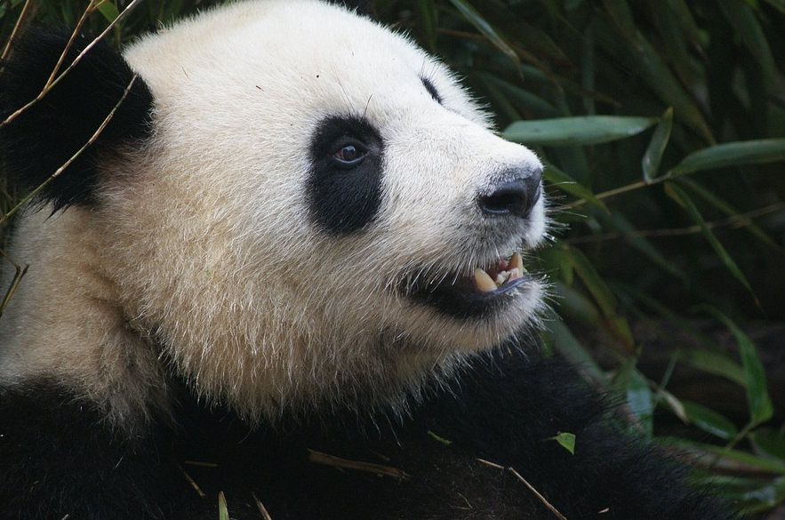 ����ת�ɶ����ɶ�-������-���ɽ-���Ƕ�-��è����-�Ÿ�����-��խ����-����¥-���������˫��������