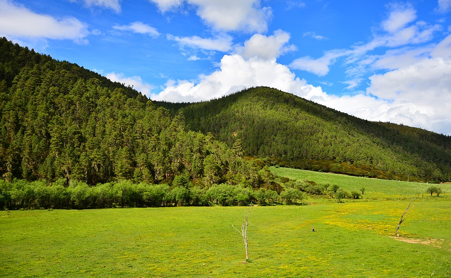 ����������ʱ�⡿���� ���� ���� �������˫��һ�����������