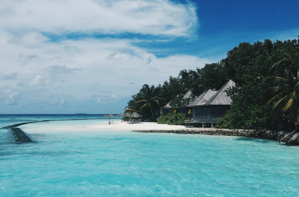 ����ס��Ų�ѡ���������˹��½��������