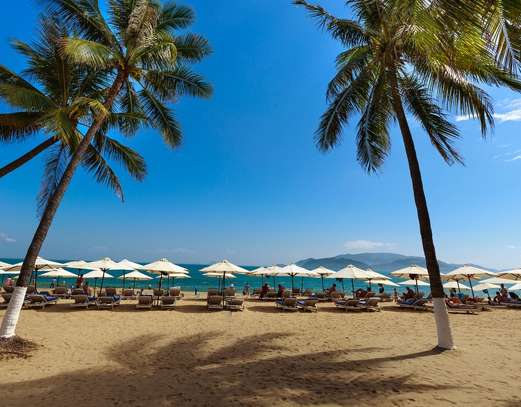 �������ĵ���Խ��ѿׯɺ����-��-�ϵ�-���ൺ�ĵ�������