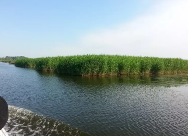 ���������Ƚׯ�ص�ս+����Ӽ����+�������̬��һ����