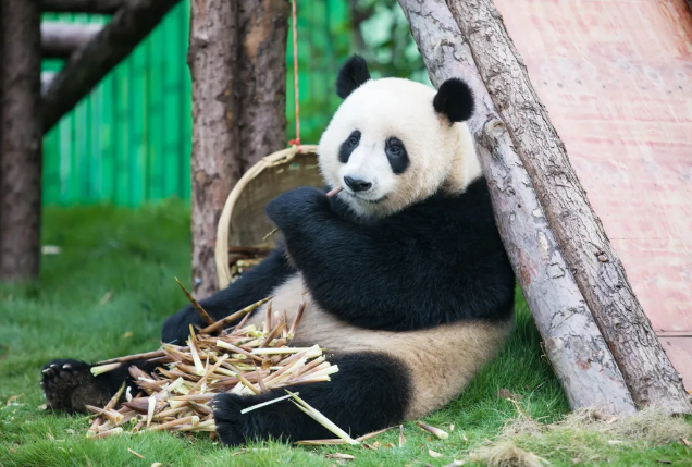 ��ŷ�ֱ�������ŷ�ֱ��λ����������