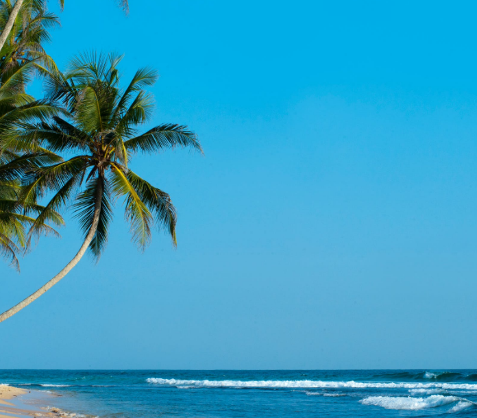 ��С���š��ռ����洿��5��7��