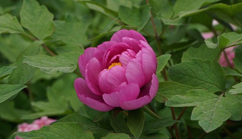 ������һ�ء�����ĵ��+������+����ʯ��+����������������