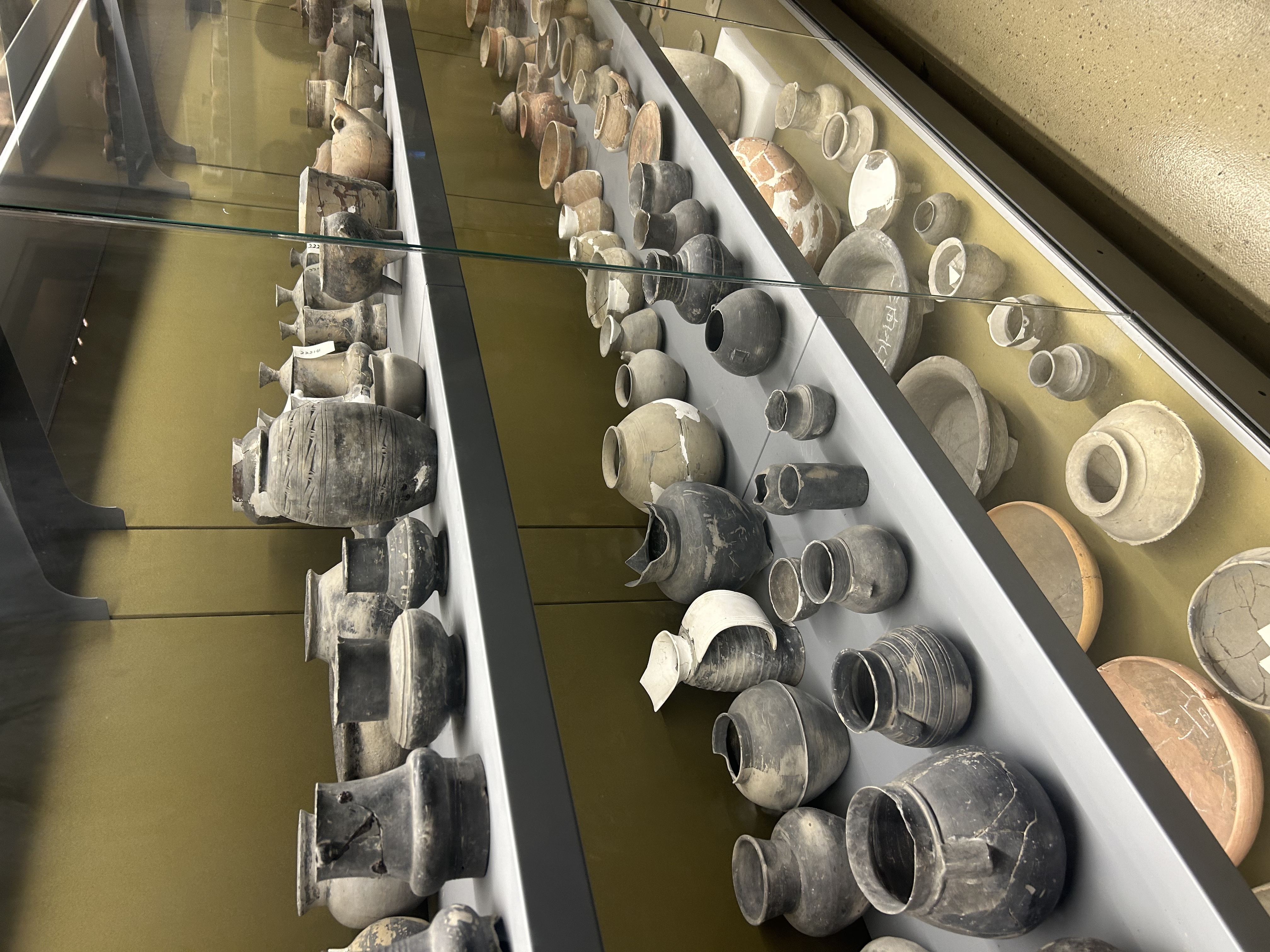 ��������ѧ���Ͼ��Ļ�̽��˫������Ӫ