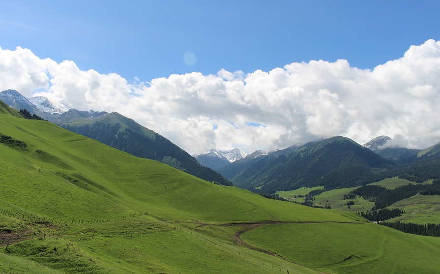 ���������Էѡ�������ͳ���ԭ���� ������ͳ������������