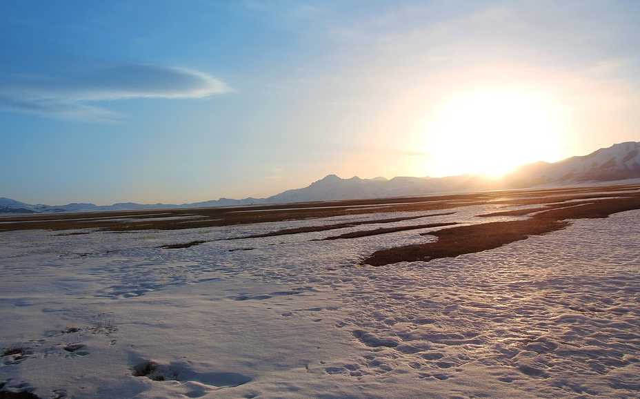 ������ľ��������ľ�����ڰ���޹�²ݡ�����������������ԭ�����⹫·���Ρ���ء���³˫��8����